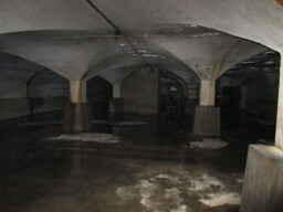 Merina 12